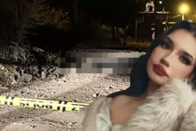 68942eb3d500d97442a44367