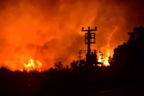 689b939cd500d97442a46f40