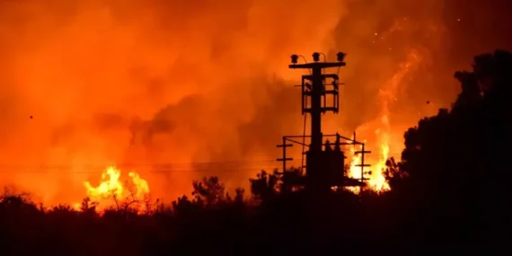 689b939cd500d97442a46f40