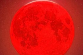 FB_IMG_1754943335496