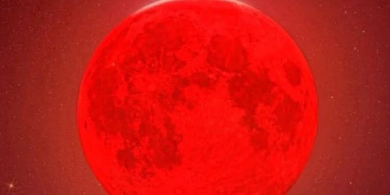 FB_IMG_1754943335496