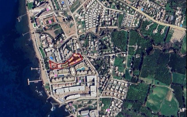 ankyra-1755729014