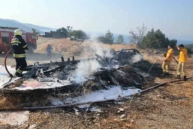 image_870x_68976c41d08d0