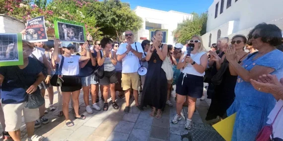 Hayvanseverler Katliam yasasıyla vicdanlar öldürüldü” 16 image_870x_68a484ed0ca4c