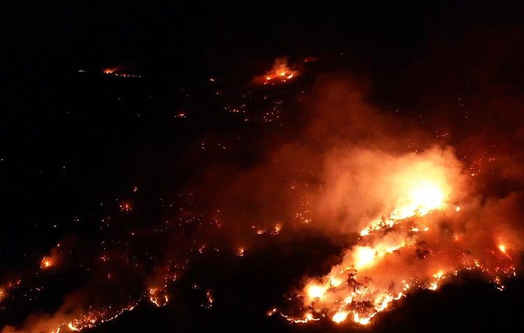 Çanakkale' ve Edirne’de orman yangını sürüyor 9 screenshot 2 bon1
