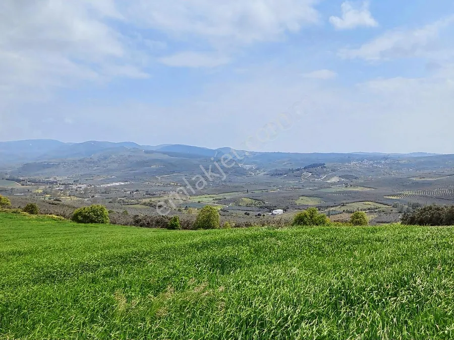 Bodrum’da 1.550 Yatak Kapasiteli Yeni Yatırım Planı 10 7129F85660CF0CD1E45FCDB6871DF0D117881949