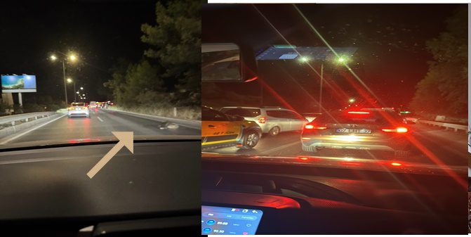 Bodrum 'da aracın çarptığı domuz telef oldu 18 c9aae8eb 331d 4f46 aec4 522504c03b2b WhatsAppImage2025 09 24at14.50.29 1