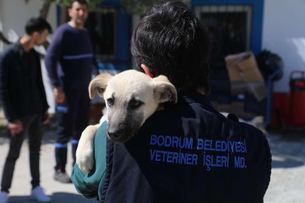 Bodrum Belediyesi siyah çelenk açıklama 5 IMG 20251004 WA0017