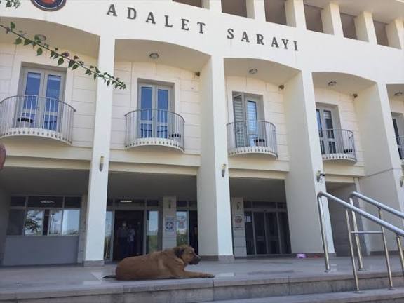Gözaltı sayısı 2 'ye yükseldi 4 images 1 6