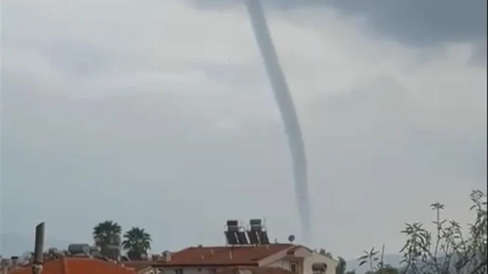 474642 e1763971831304