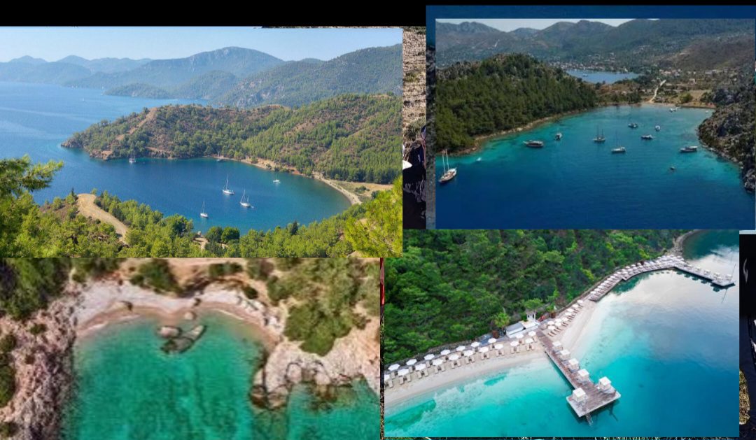 Muğla 'nın koyları yağmalanıyor 19 Screenshot 20251213 133958 Samsung Internet 1
