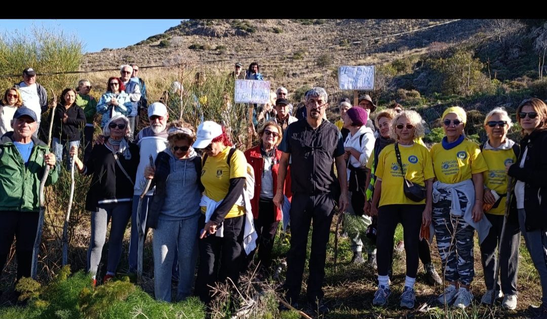 Bodrum’un geleceğini tehdit eden betonlaşmaya karşı tepki gösterdiler 20 Screenshot 20251213 133958 Samsung Internet