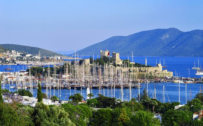 'MUPA'dan Bodrum Araştırması Şaşırttı 20 images 4 1