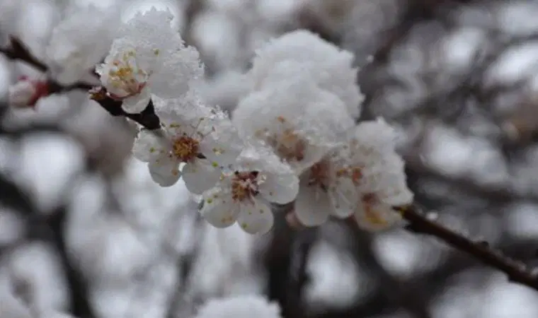 Soğuk Hava Dalgası bu akşam yurda giriş yapacak 15 kapak 104018