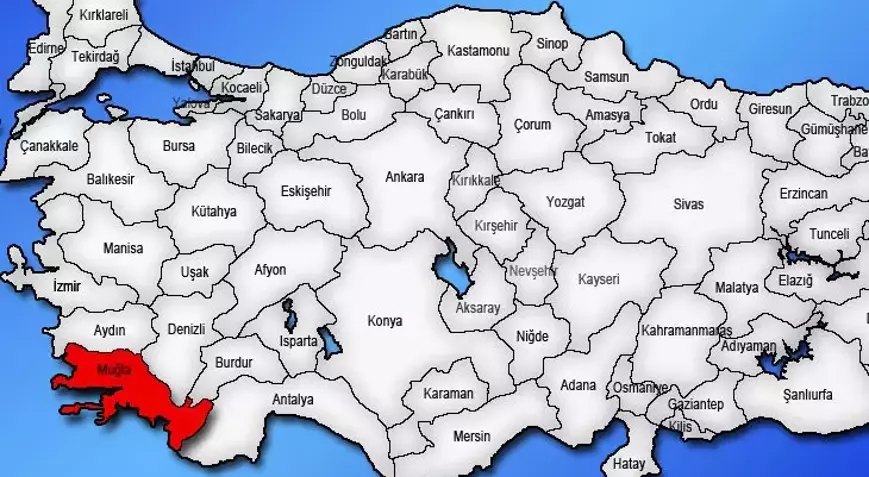 5f67d3265542851700064e08 1