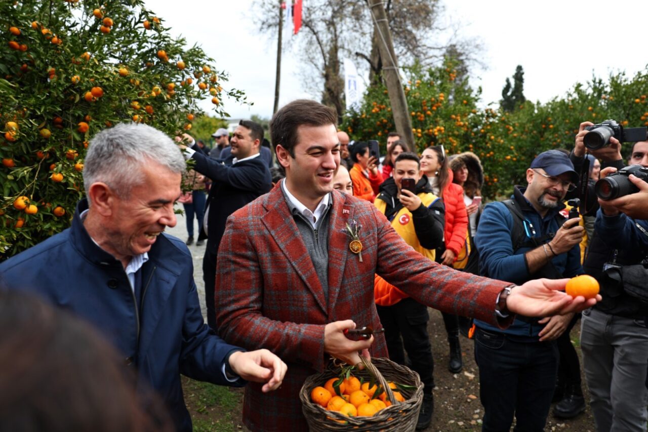Bodrum Mandalini Türkiye’nin Dört Bir Yanına Ulaşıyor 15 bodrum belediyesi bodrum mandalini turkiyenin dort bir yanina dagitiliyor 6 scaled