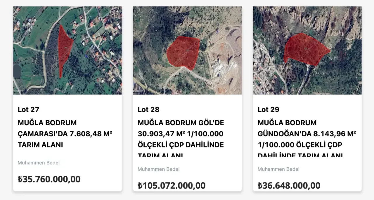Bodrum’da "Milyonluk" Araziler Müzayede ile satışa sunulacak 12 goruntu 16012026 2015