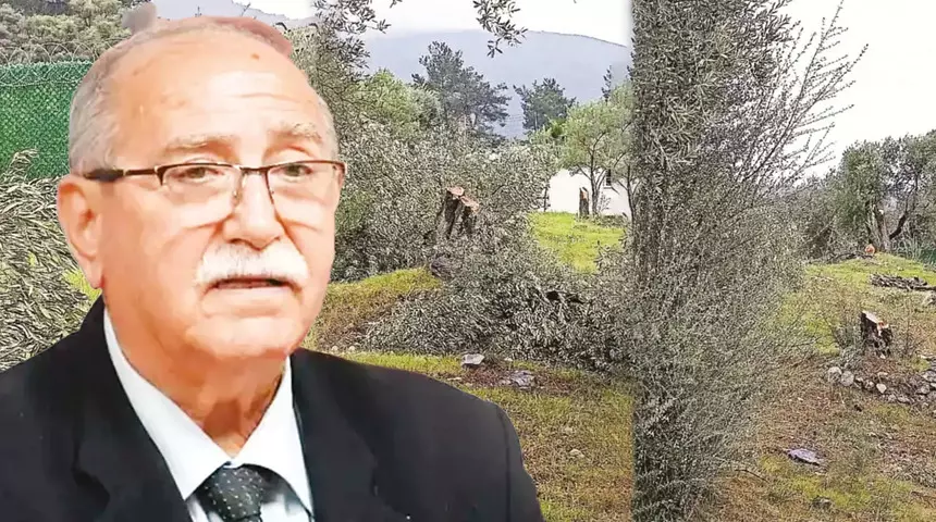 Zeytin ağaçlarını kesen ve görevinden istifa eden Kılbey’e para cezası 10 23425951 860x480 1