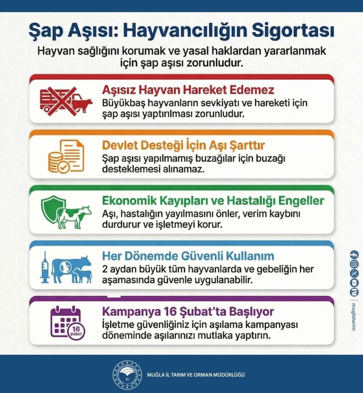 Bodrum İlçe Tarım Müdürlüğünden Şap aşısı uyarısı 2 FB IMG 1771240331033 scaled