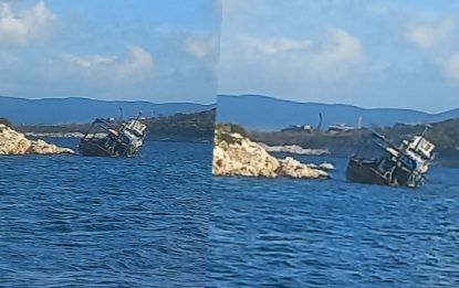 IMG 20260208 WA0017 1