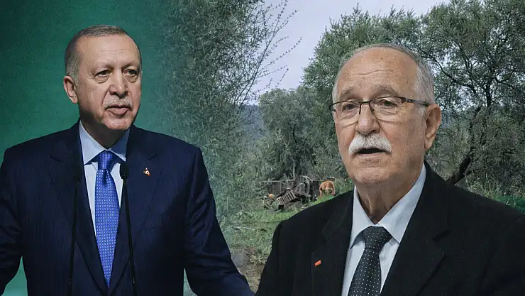 Cumhurbaşkanı Erdoğan'dan Milas'taki zeytin kesimine sert tepki 14 cumhurbaskani erdogan dan mila 1771598119 EyHr1G