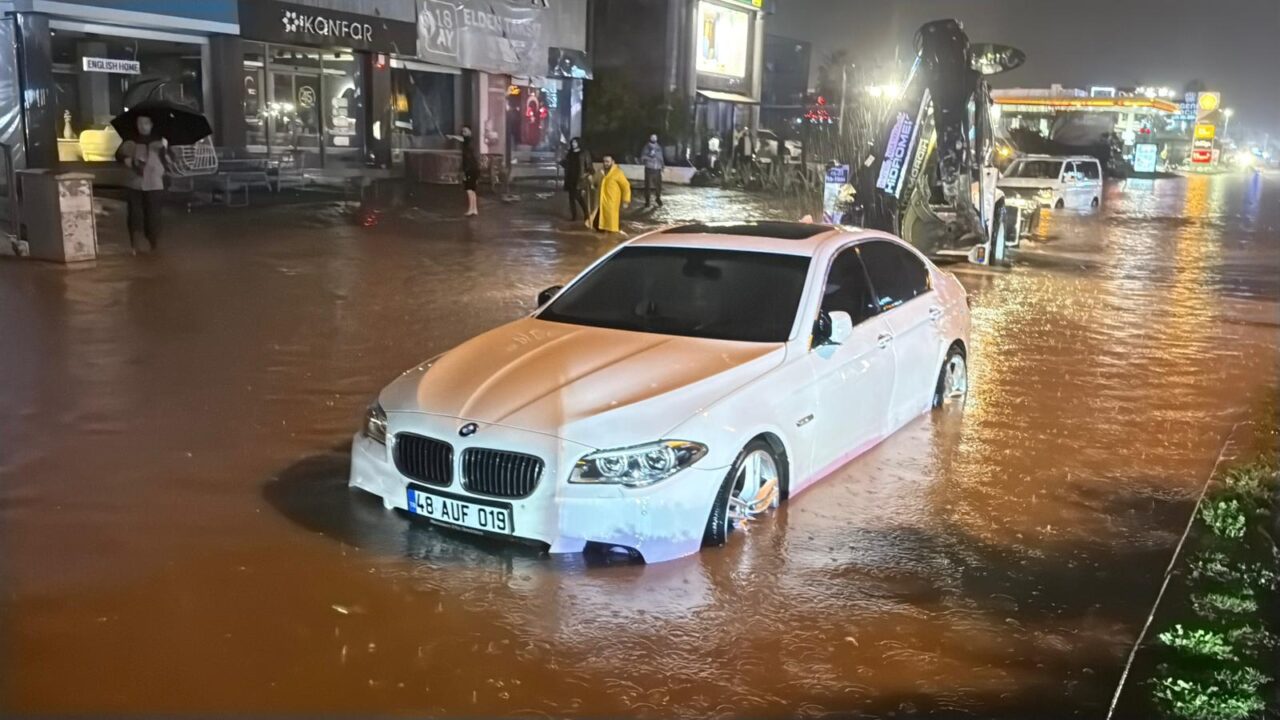 sele dikkat cekti5 scaled
