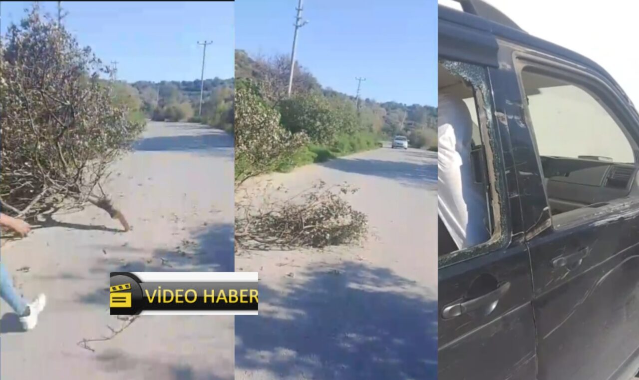 AYDEM 'in kesip yola bıraktığı ağaç araçı hurdaya çevirdi 10 IMG 20260307 WA0060 scaled