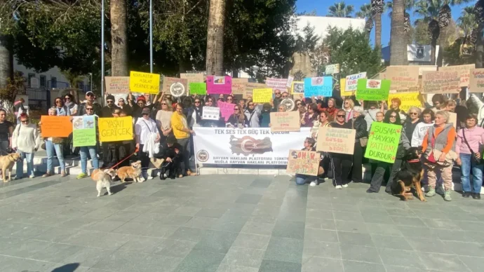 Bodrum’da Sokak Hayvanları Yasayı Geri Çek” Çağrısı 2 patili canlar eylem2 1772373014 e1772379620211