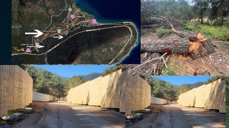 TÜYA'nın turistik projesinde ağaç katliamı tepkisi 11 bodrum da 449 milyon tl lik pr 1777467729 LFmflA