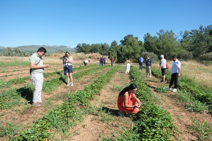 Agro Bodrum Rotası” Hayata Geçti 9 3ccd29e7 b438 49b3 9918 f28238814735