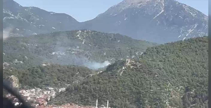 fethiye de orman yangini hizla kontrol altina alindi 1779025028
