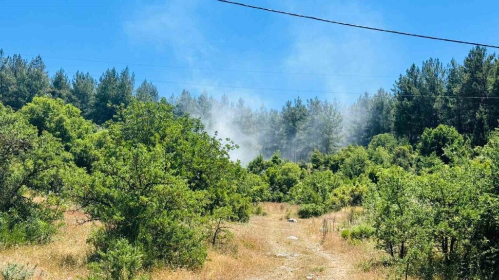Menteşe’de orman yangını 1 mentesede orman yangini cebc697f755a 1024x576 1