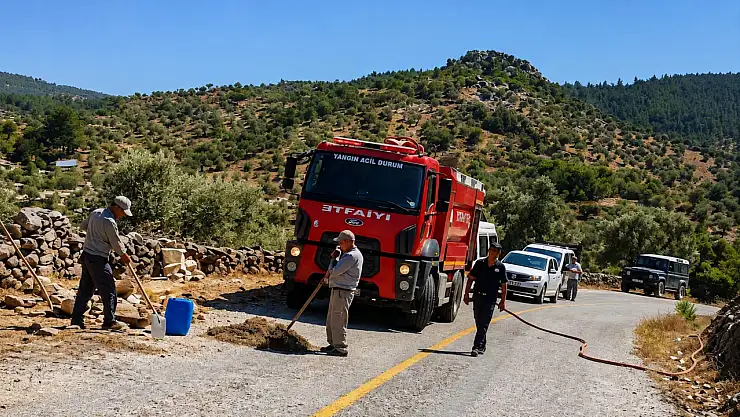 Milas'ta zeytinlik alanda yangın çıktı 1 milas ta zeytinlik alanda yang 1780153123 ZMtceX