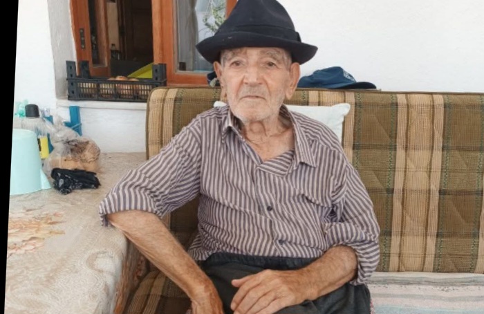 Bodrum çınarlarından birini daha kaybetti. 12 FB IMG 1780327916503