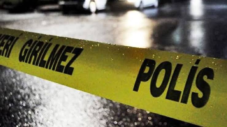Otomilden yere atılan kadın hayatını kaybetti 24 images 2 1