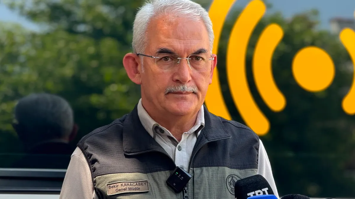 ogm genel muduru karacabey fethiye yangini kontrol altinda yaklasik 200 hektar ormanlik alan etkilendi BAvYE