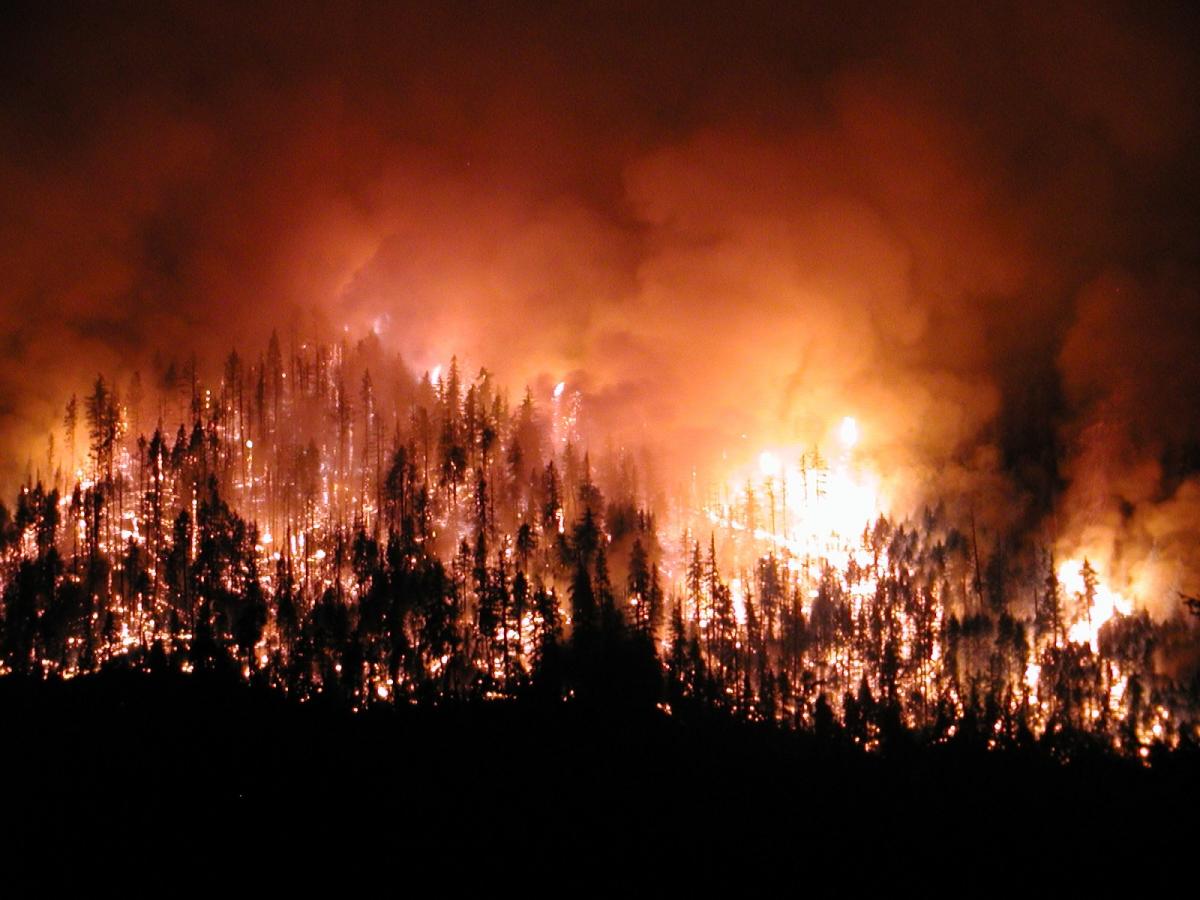 Muğla Valiliği Yangin riski devam ediyor 3 Wsa lightning complex fire ron gregory