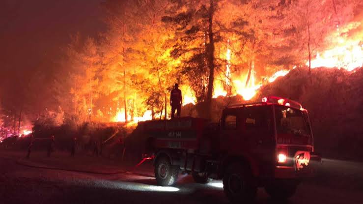 Yangınlarda En Büyük Hasarı Muğla Aldı 2 images 1 4