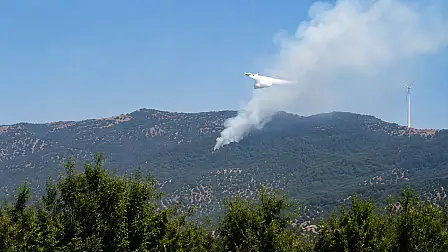 Milas Sakarkaya'da orman yangını 2 milas sakarkaya da orman yangi 1787138129 W5EXqP 1