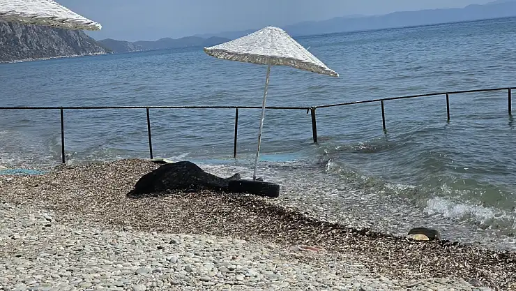 tatil icin milas a geldi deniz 1789296621 mOyZJa