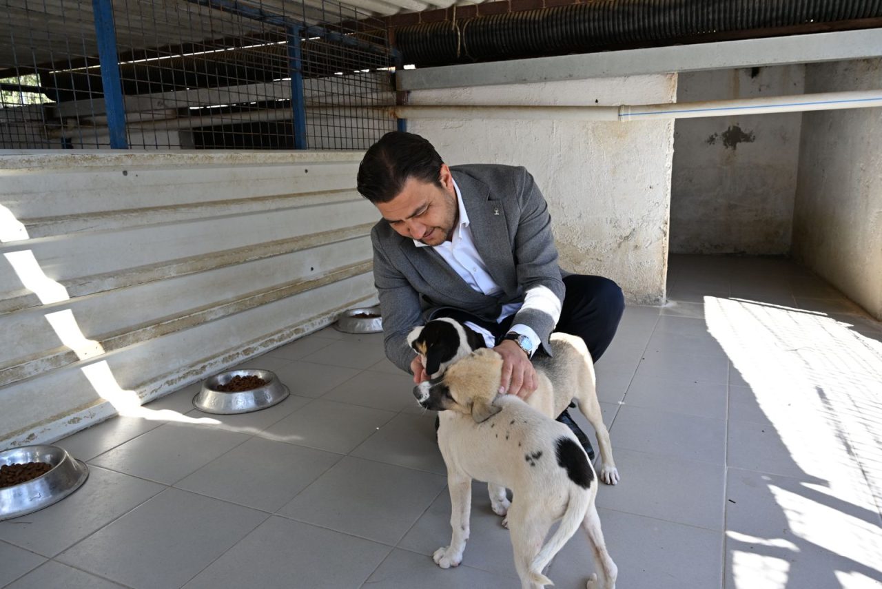 AK PARTİ BODRUM’DAN TORBA BARINAĞINA ANLAMLI ZİYARET 25 IMG 20261003 WA0028 scaled