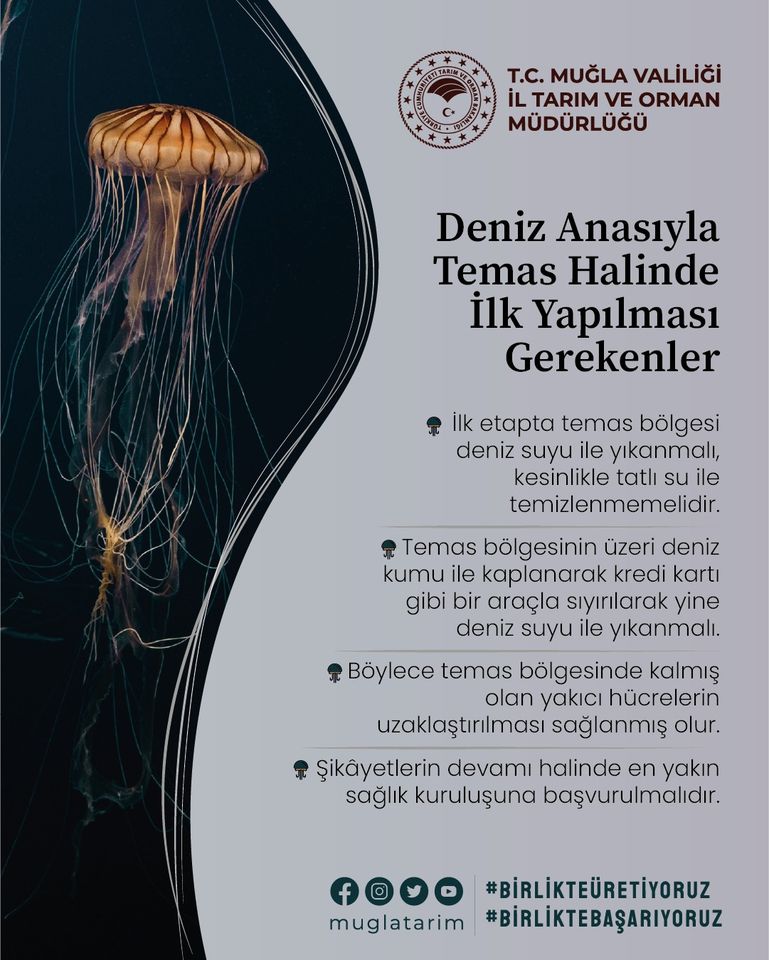 "Ne Ölüsü Ne Di̇ri̇si̇ne Dokunmayin" 1 282279417 382841090556876 1994428105210583244 n 1