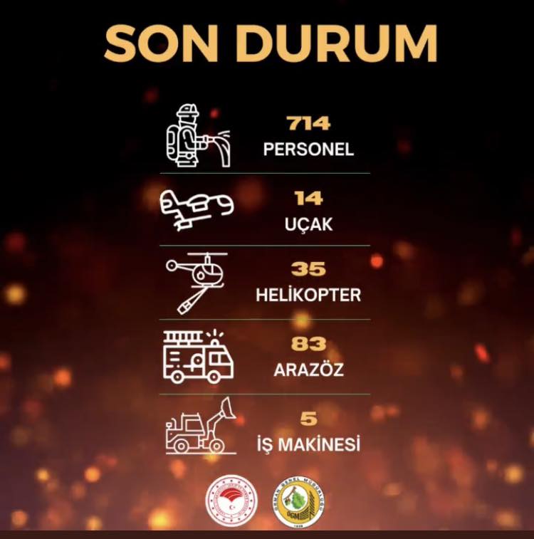 Ogm, Marmaris Yangına Ilişkin Son Durumu Paylaştı 1 307537572 423526786618939 2137118916311893555 n