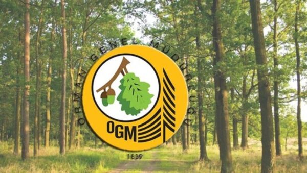 Orman Genel Müdürlüğü, Sınavla 22 Orman Mühendisi Alacak. 2 3125031 810x458 e1639817499682