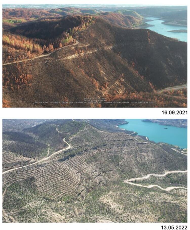 54 Ilde Çıkan Orman Yangınlarında 139 Bin 500 Hektar Alan Zarar Gördü 1 6336ac73470a9b4df474eeeb.jpeg
