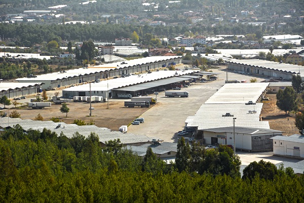 Büyükşehirle Hallerin Çehresi Değişti 8 Buyuksehirle hallerin cehresi degisti 6
