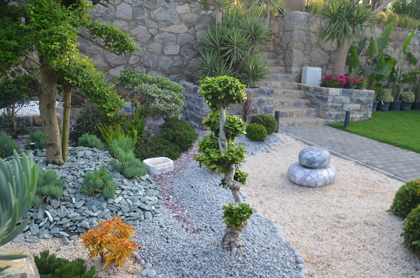 Vita Botanik Bodrum'a Değer Katıyor 4 DSC 0407