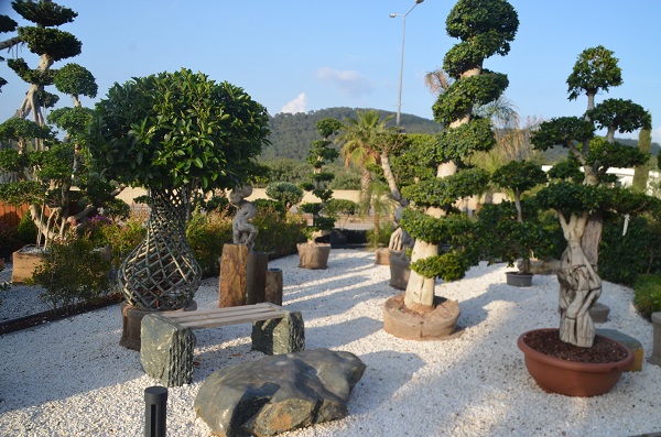 Vita Botanik Bodrum'a Değer Katıyor 5 DSC 0408 2