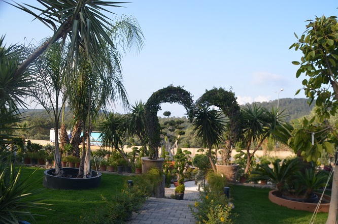 Vita Botanik Bodrum'a Değer Katıyor 9 DSC 0432 2