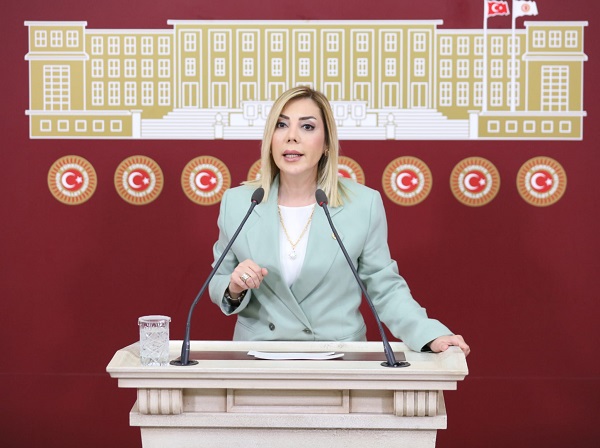 Milletvekili Gökcan: Sayın Akşener Muğla Sahipsiz Değildir… 16 F1 2